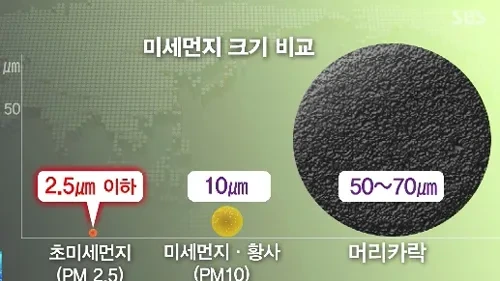 미세먼지 크기 비교