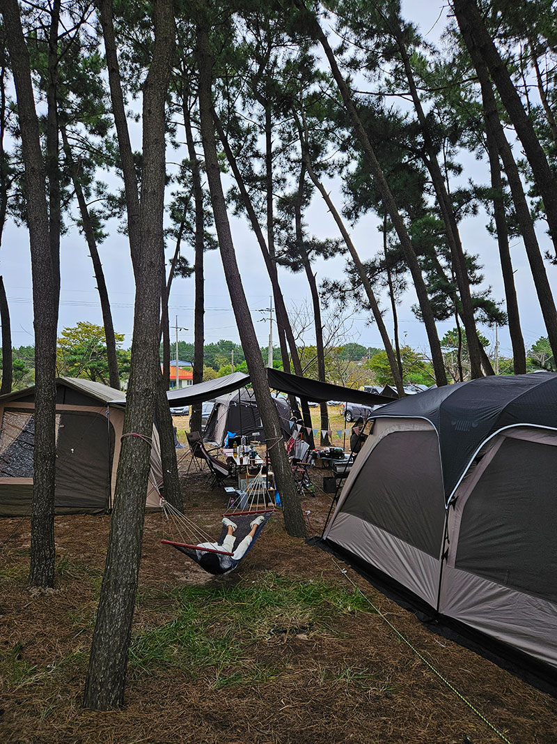 마검포 아름뜰 캠핑장 피칭4