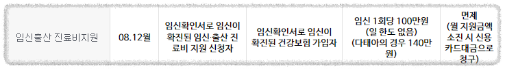 임신출산 진료비지원