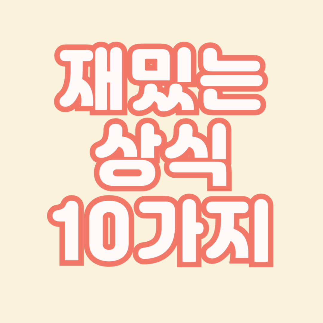 재밌는-상싯-10가지