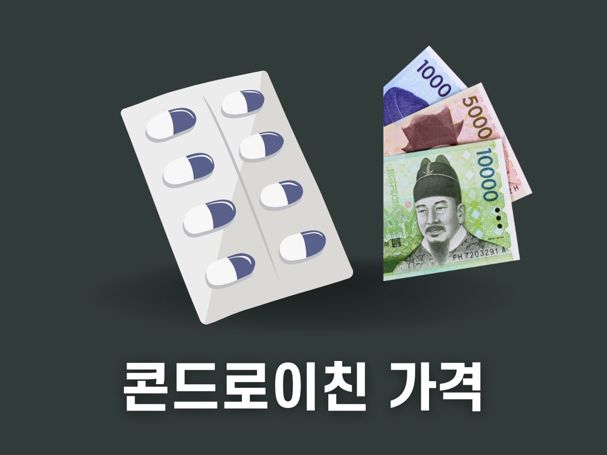 콘드로이친 1200mg가격