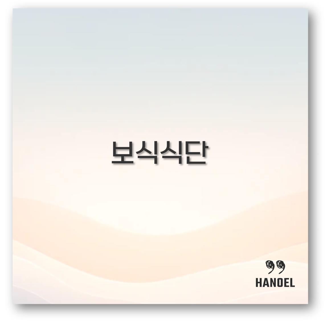 보식식단