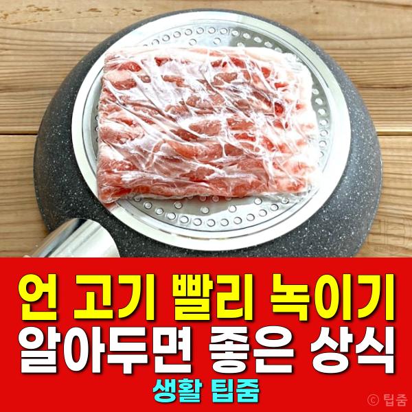언 고기 빨리 녹이기