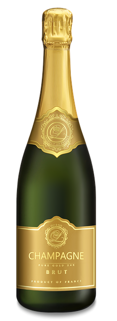 촌장주점 다시보기