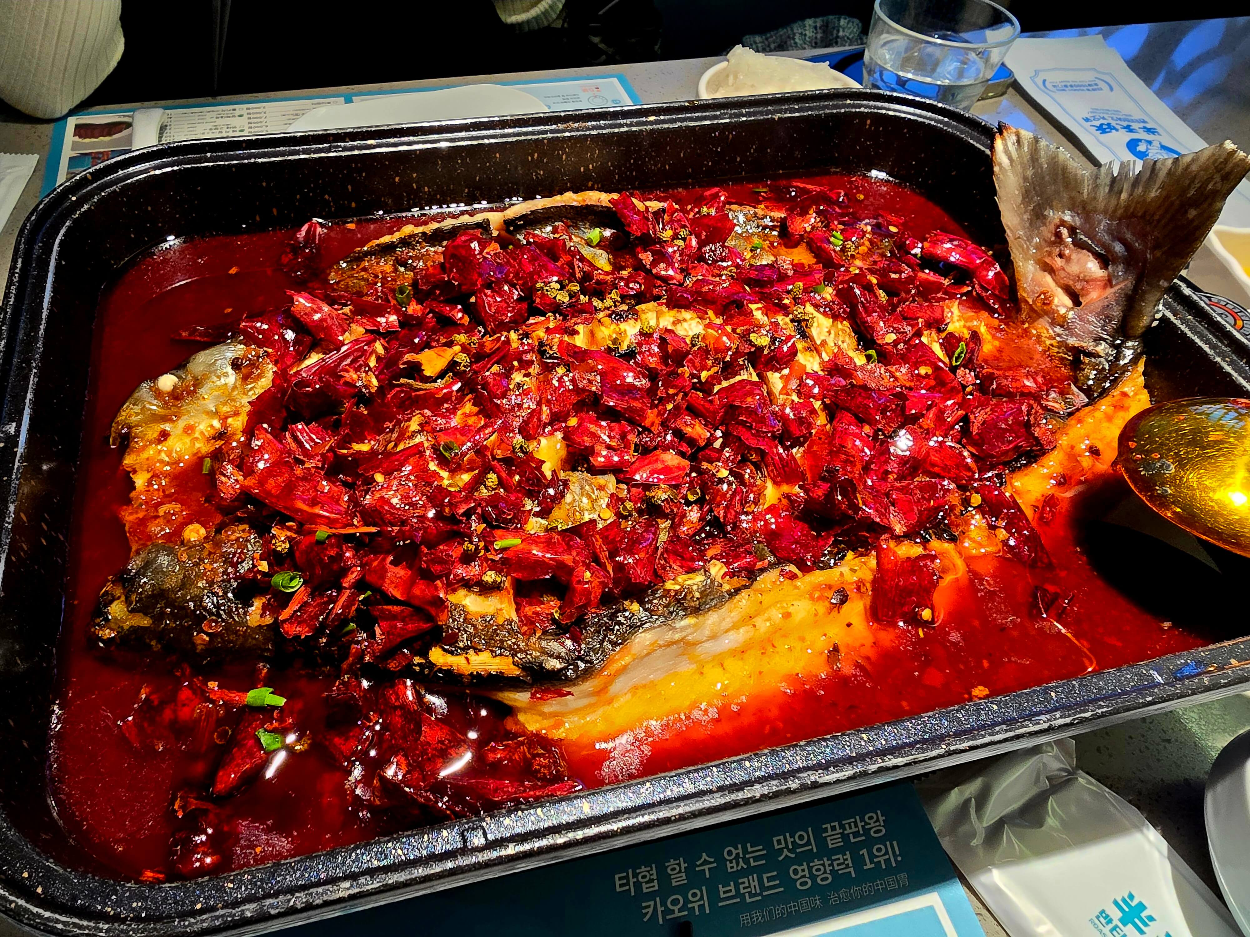 강남역 맛집 반티엔야오 카오위