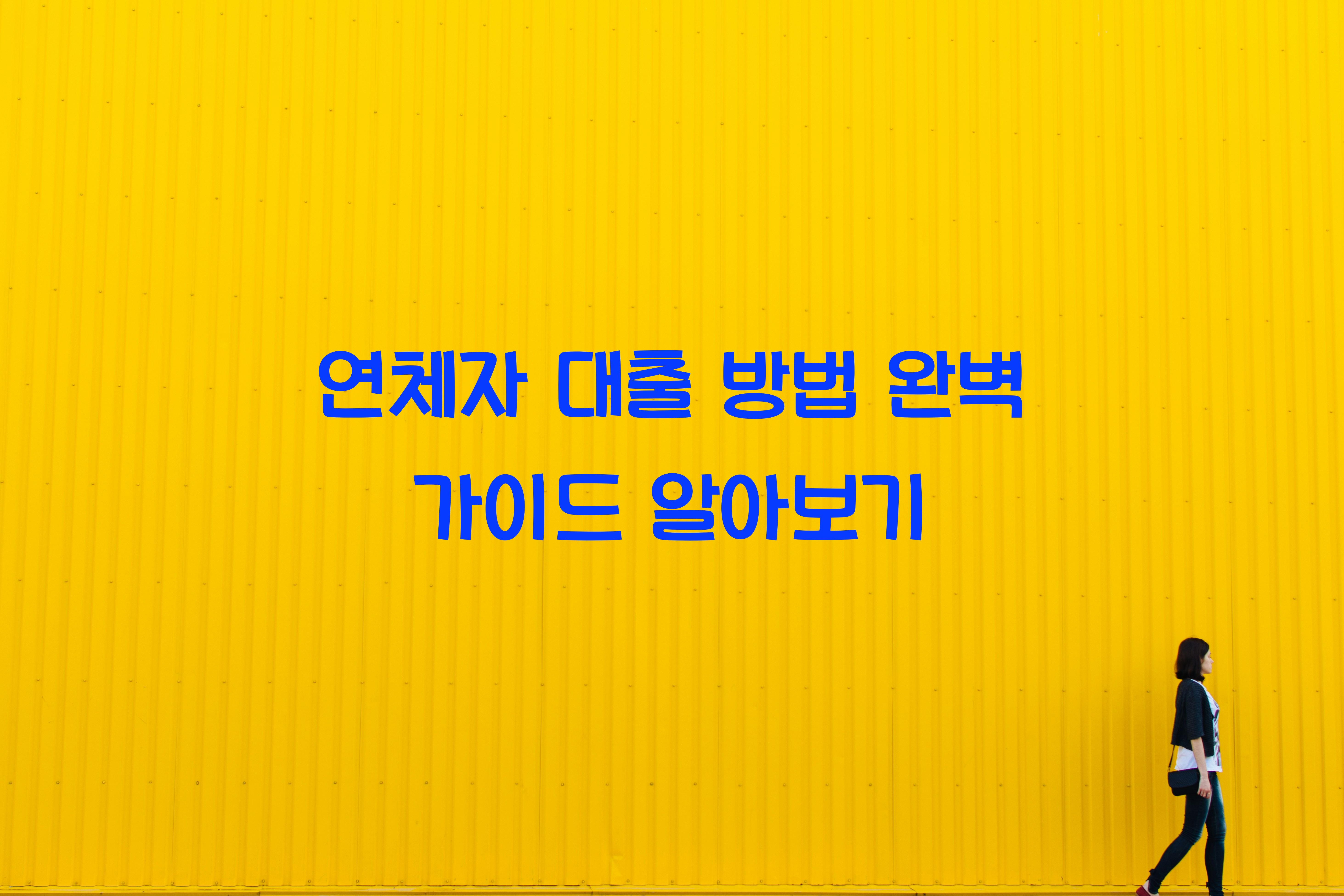 연체자 대출 방법