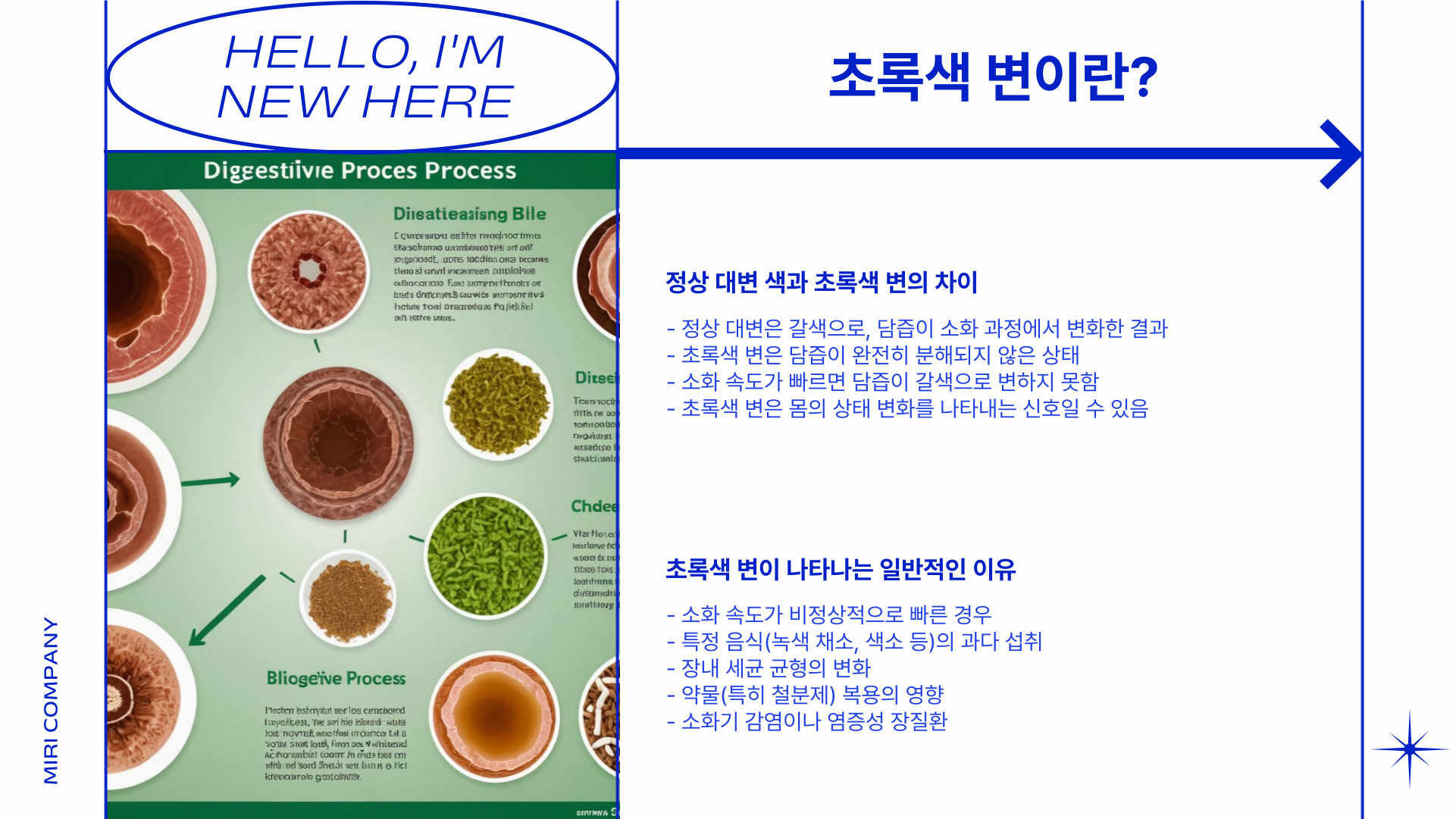 초록색변 설사 원인