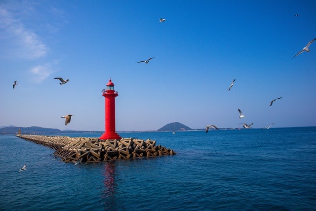 해수욕장 개장일 관련사진17