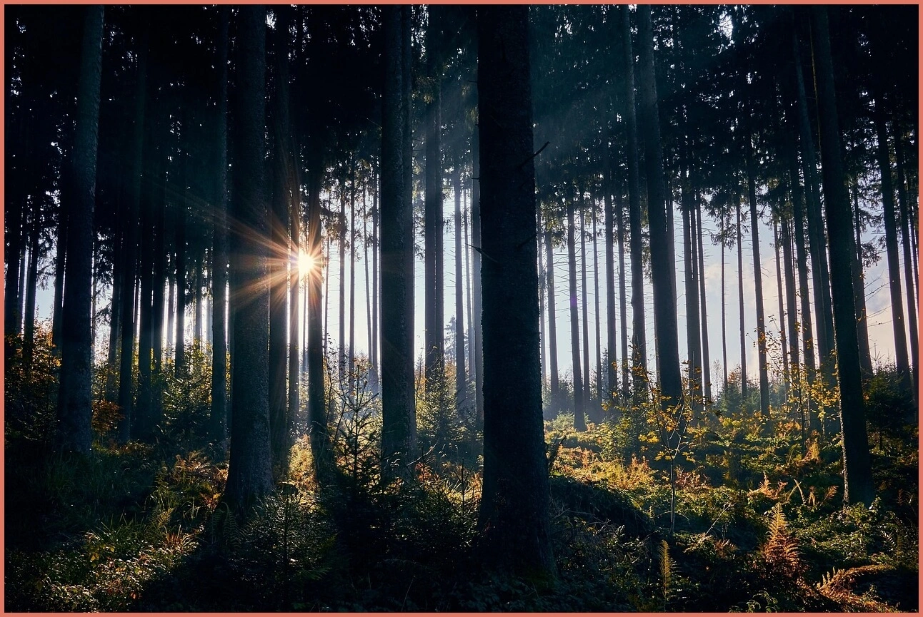 새마을금고 예금금리