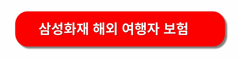 해외여행자-보험