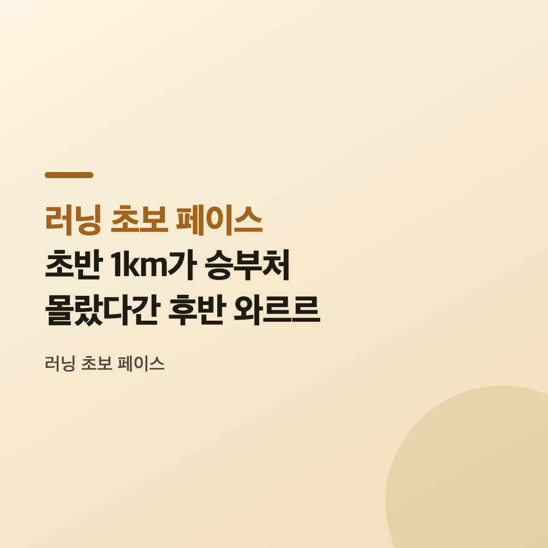 러닝 초보 페이스를 잡으며 공원에서 달리는 초보 러너의 모습