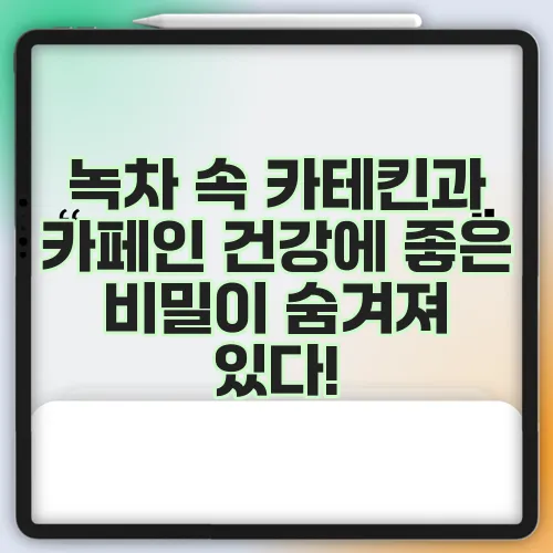 녹차 속 카테킨과 카페인 건강에 좋은 비밀이 숨겨져 있다!
