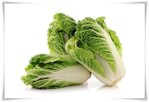 텃밭 &quot;8월, 김장 배추 심으세요!&quot; 올 가을 김장은 지금부터!