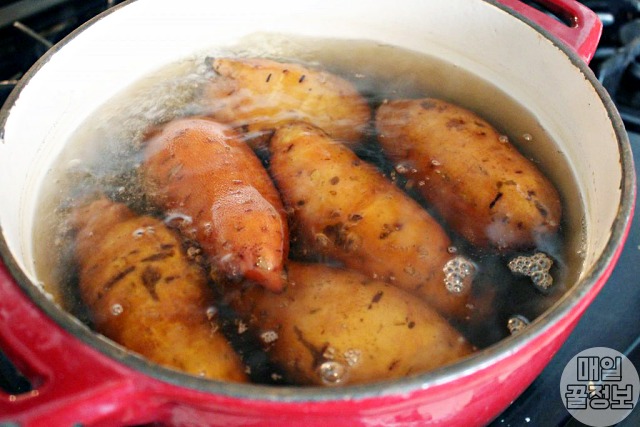 고구마 삶는법 삶는시간 다시마,고구마 다이어트 방법 효과,건강 팁줌 매일꿀정보