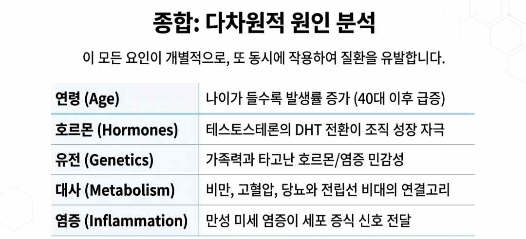전립선비대증원인-사진1