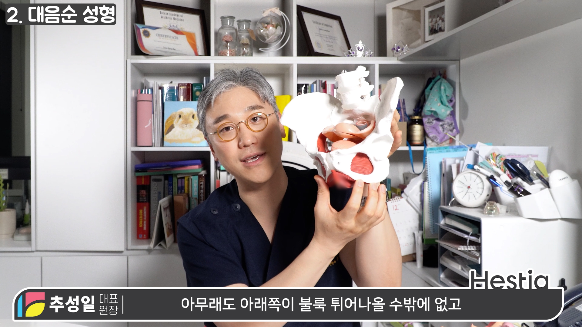 y존돌출 대음순성형