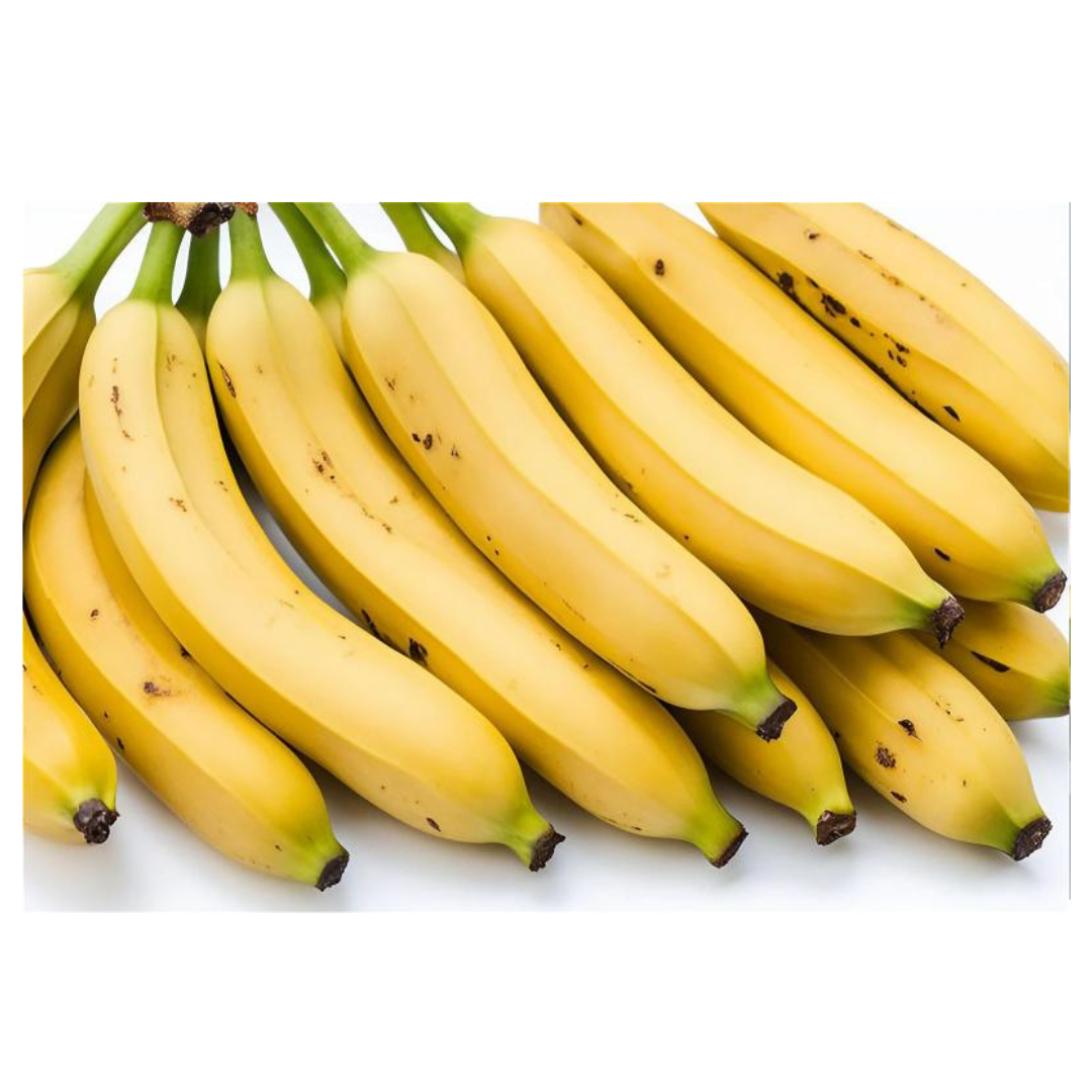 용종과 관련된 사진입니다.