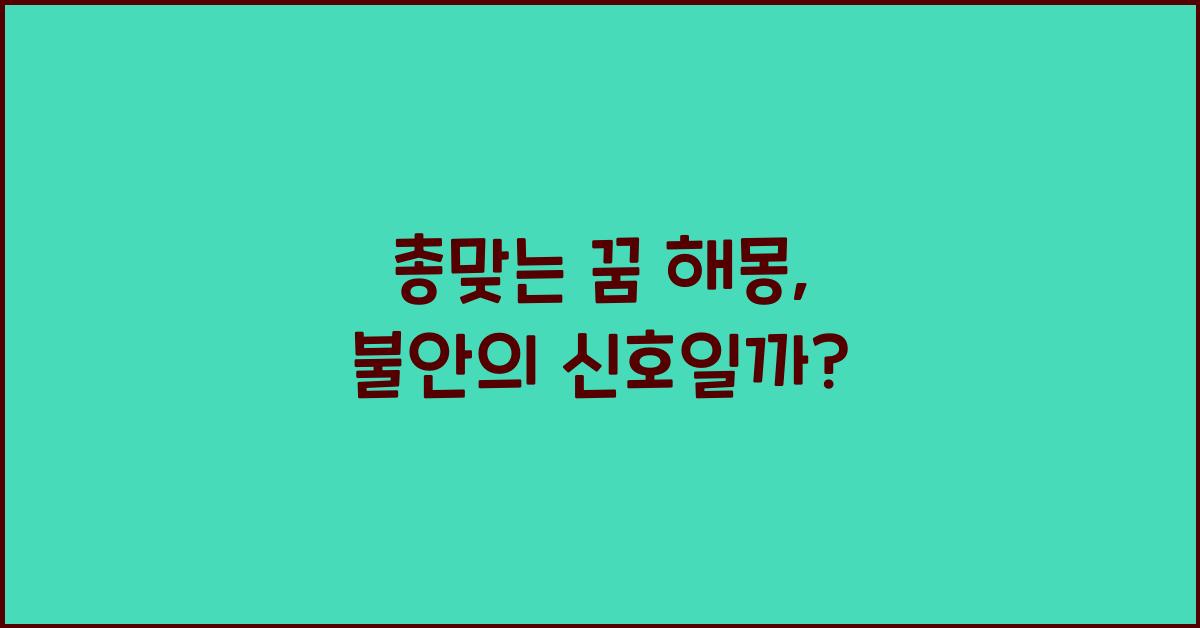 총맞는 꿈
