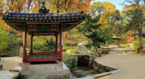 창덕궁 후원