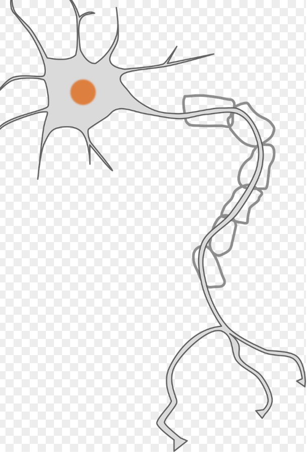 성장호르몬 이상과 관련된 사진