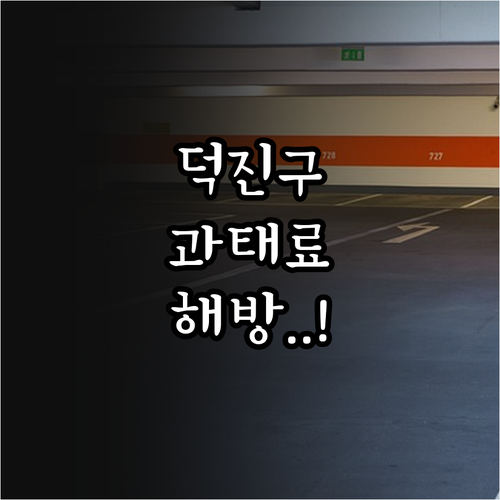 전주 덕진구 주정차 단속 알림 서비스..