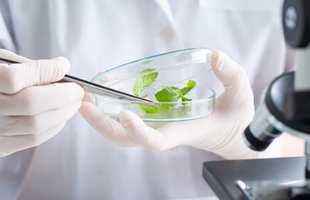 이소비텍신-다이어트