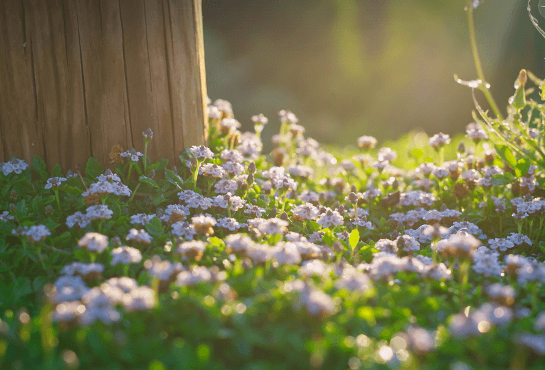 설레는 아침인사