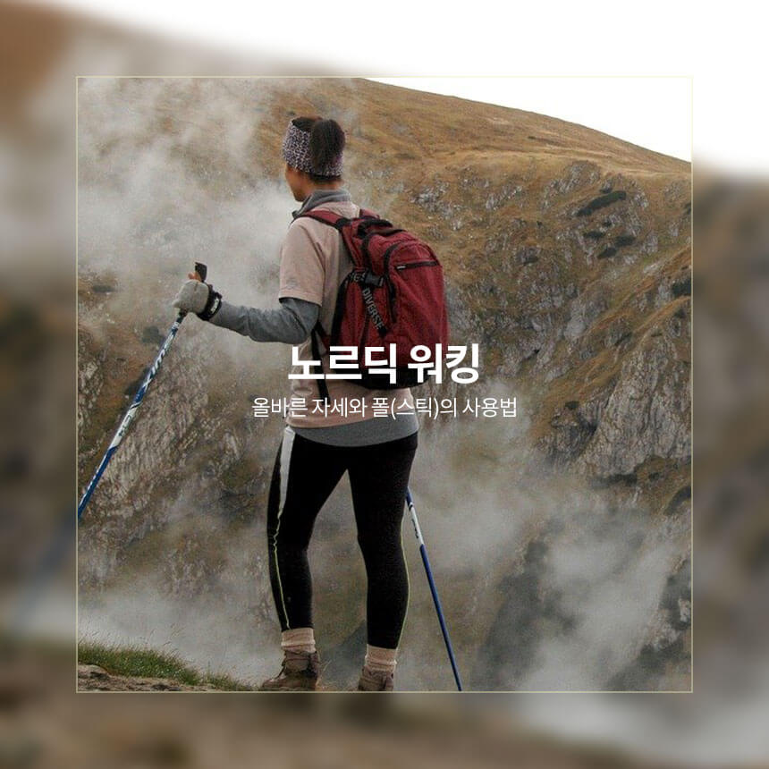 “노르딕-워킹-방법”