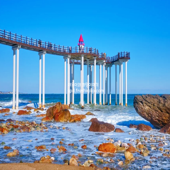 포항 가볼만한곳 베스트10