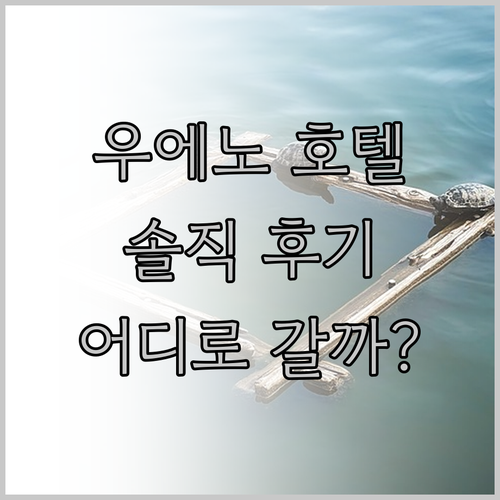 우에노 호텔 어디로 가야 할까? 센츄