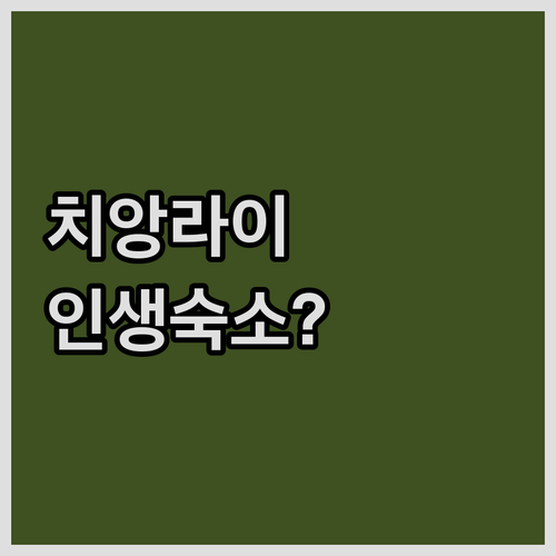 치앙라이 여행 숙소 예약 꿀팁과 평점..