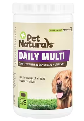 반려견 영양제 사진