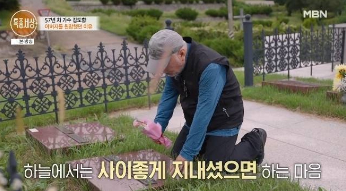 김도향