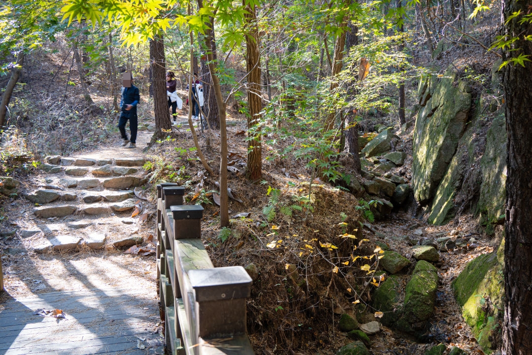 칠보산 올라가는길