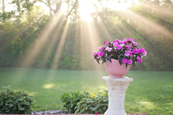 아침 햇빛과 자연 알람 루틴, 건강한 하루의 시작!