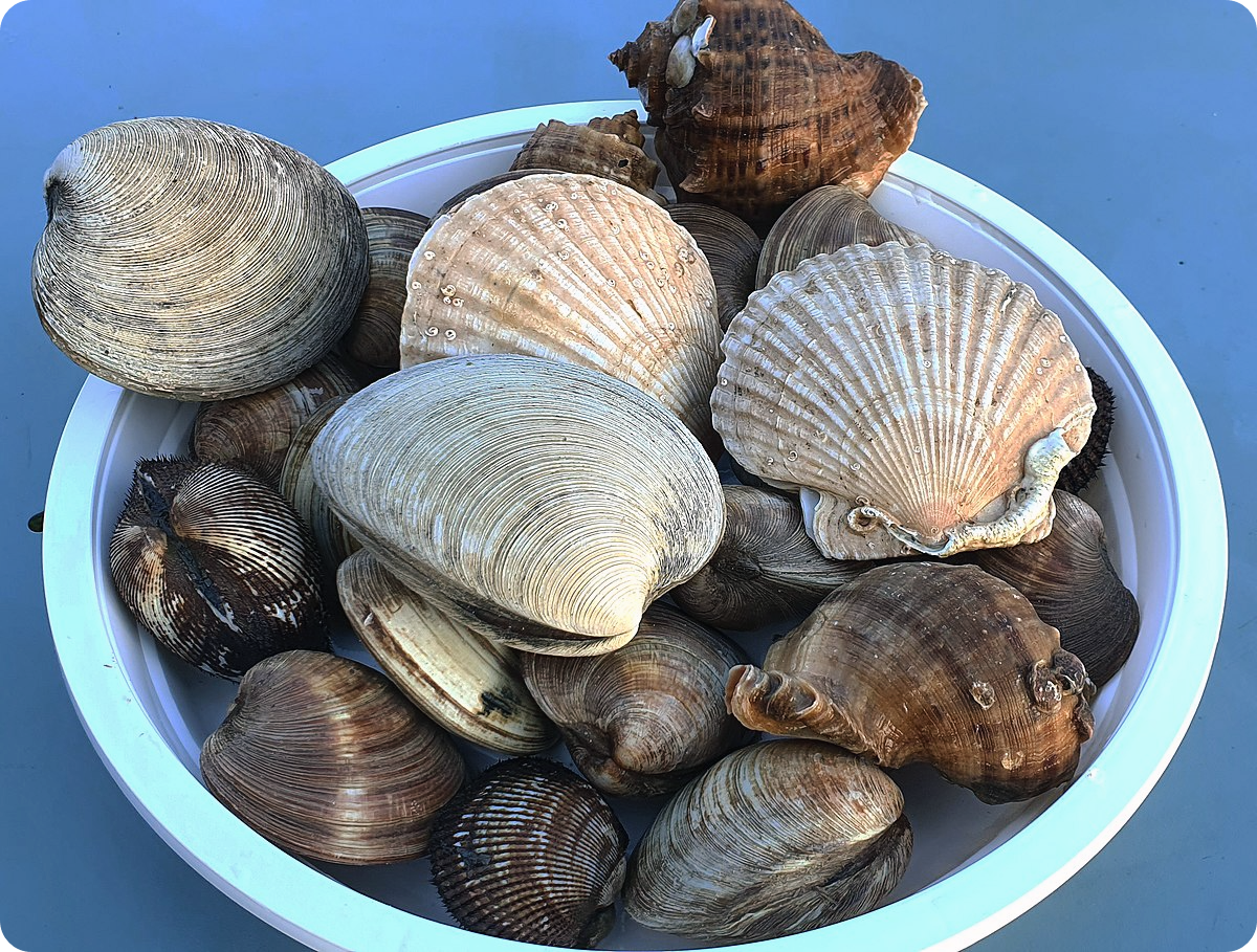 칼륨이-많은-음식