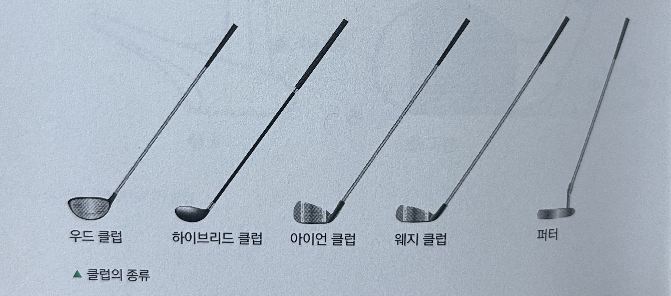 클럽의 종류