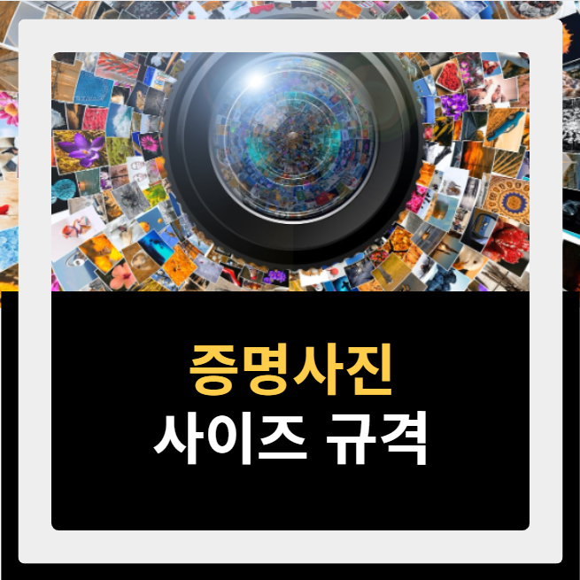 증명사진 사이즈 규격 총정리 ❘ 주민등록증, 여권, 이력서 등