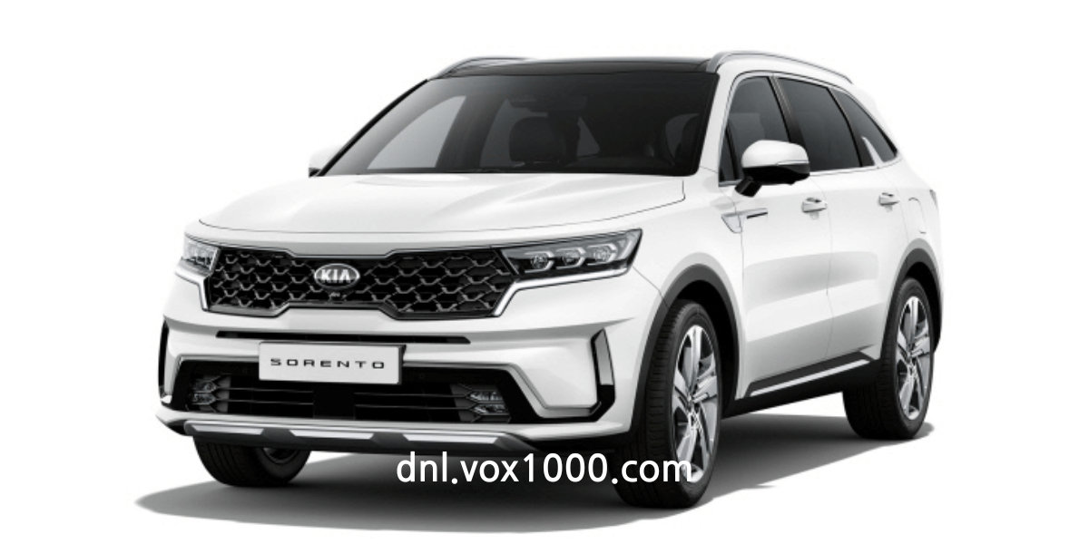 단기 렌트카(1일) 비용