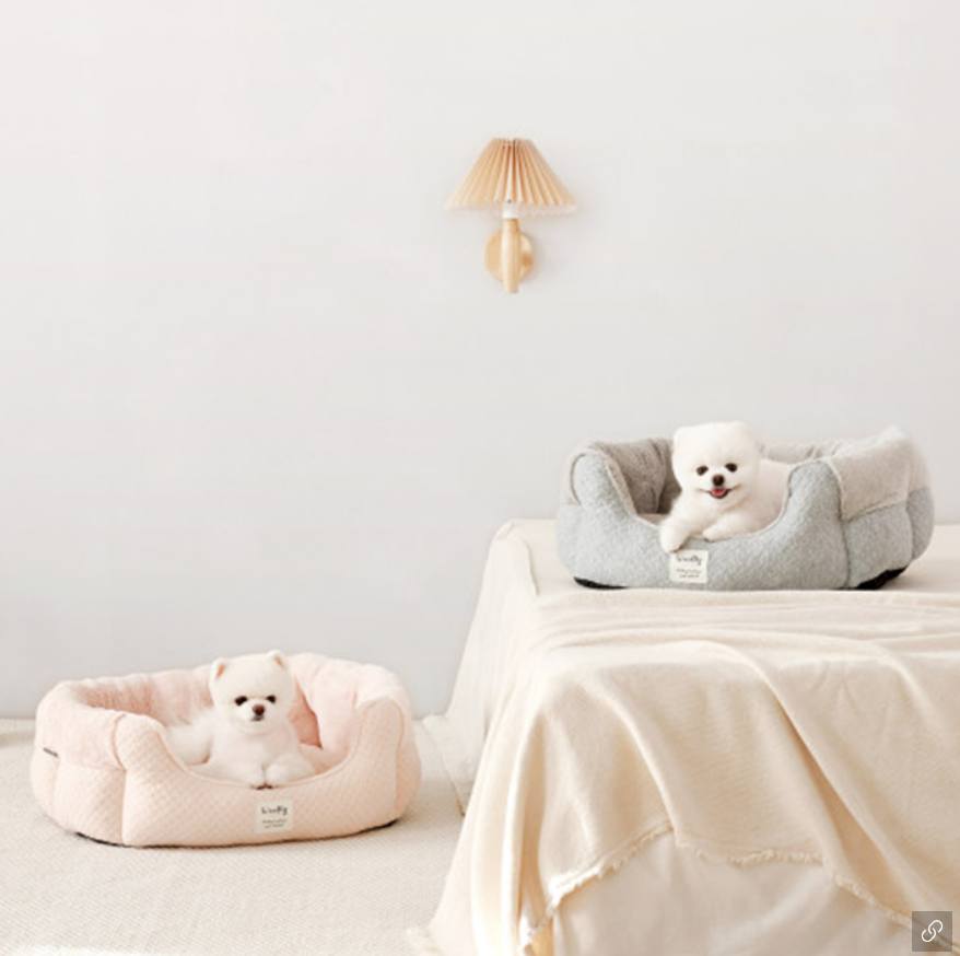 반려인능력시험