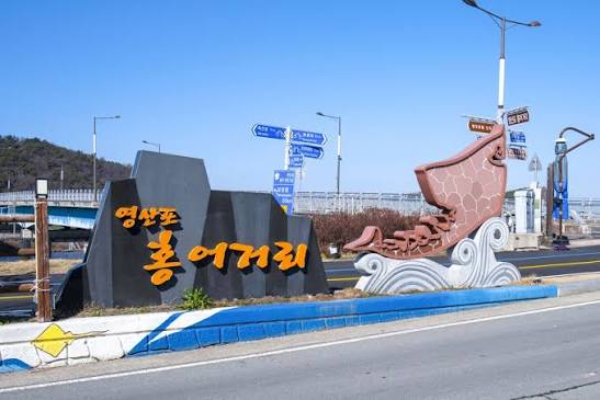영산포 홍어, 뱃길이 만든 발효의 미학