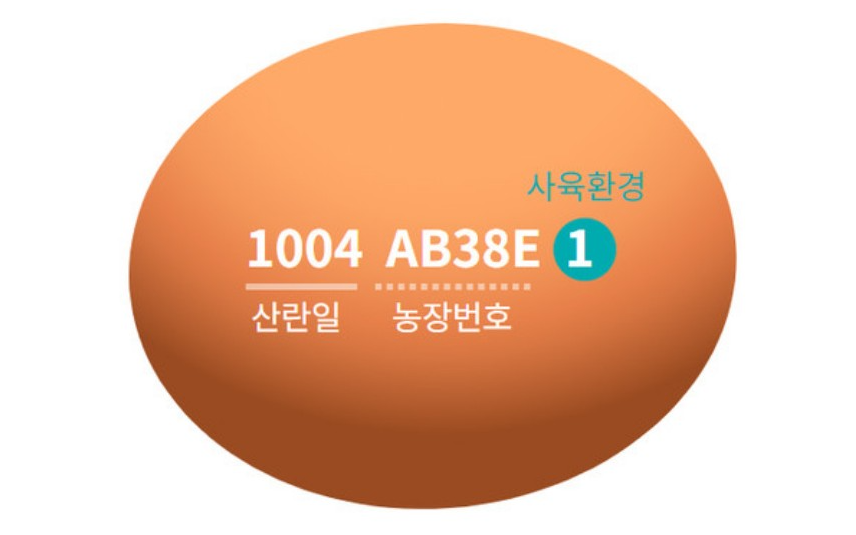 계란-번호-의미
