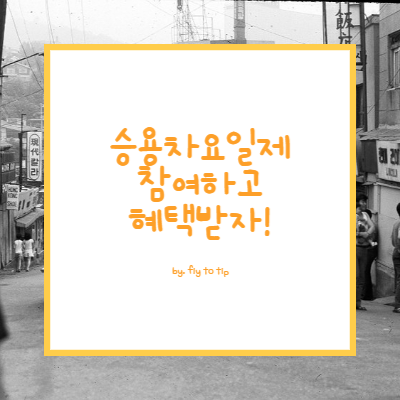 승용차요일제 현황 및 혜택