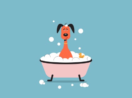 유기동물 입양 지원금