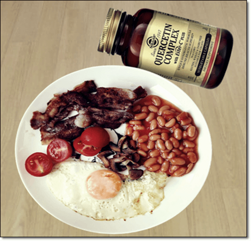 플라보놀 음식과 케르세틴 보충제