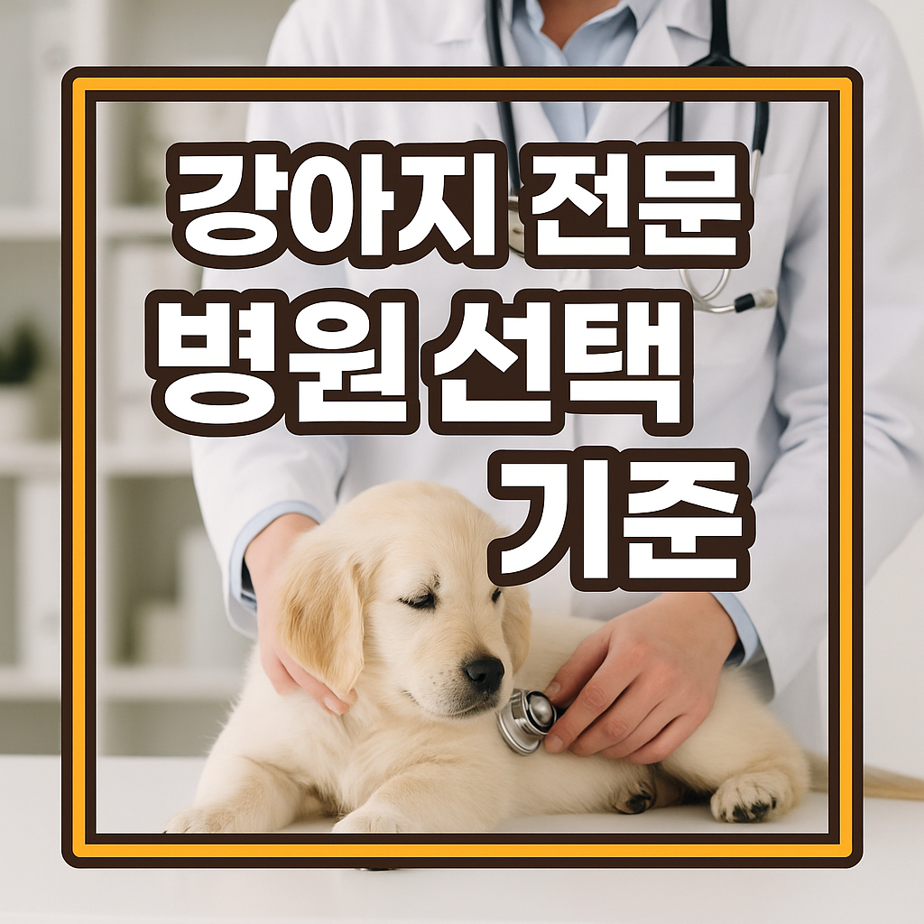 강아지 전문 병원 선택 기준