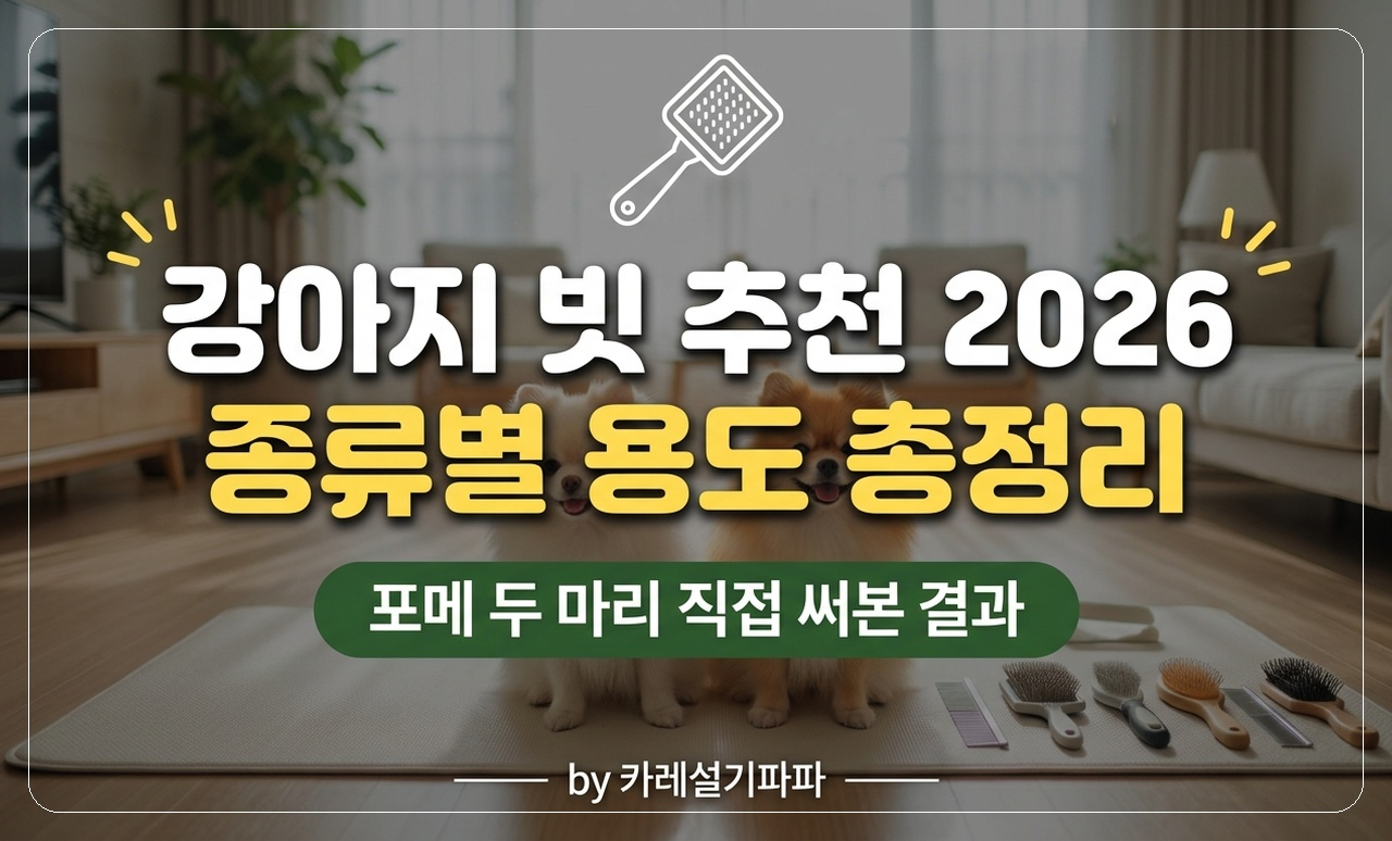 포메 빗 추천 썸네일