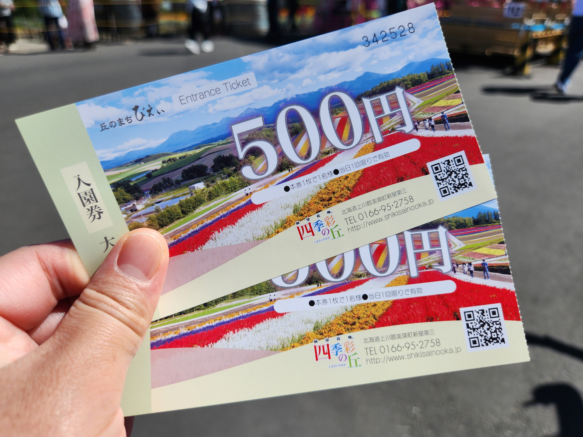 사계체 언덕 - 7