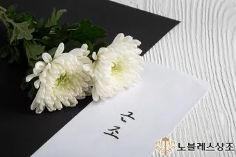 조의 인사말 모음 예시 메일_19