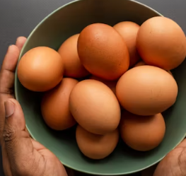 단백질 많은 음식 식물성 동물성